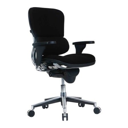 Raynor Marketing Ltd. Eurotech Ergohuman Chair - Low Back - Fabric - Black -Ergohuman Series FE66ERGLO-BLACK